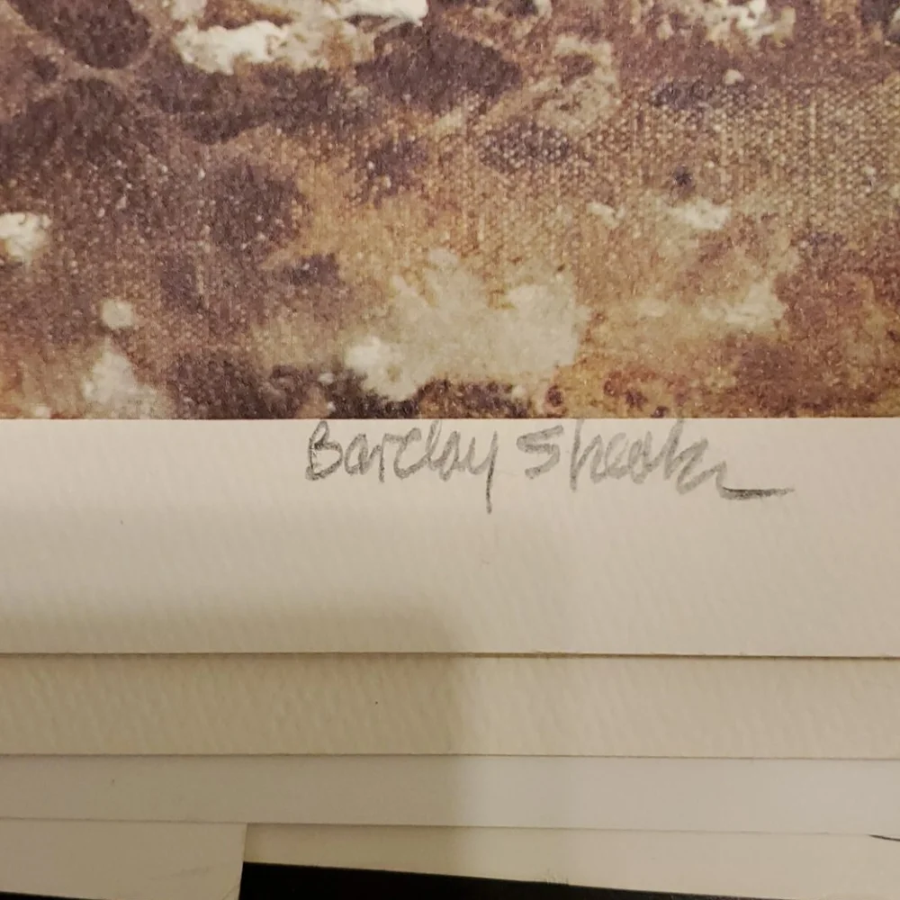 BARCLAY SHEAKS ARTWORK